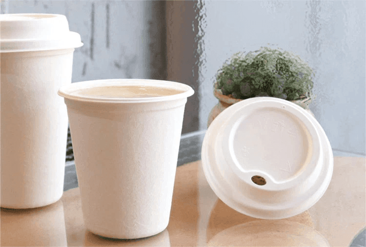 Ly và nắp bã mía