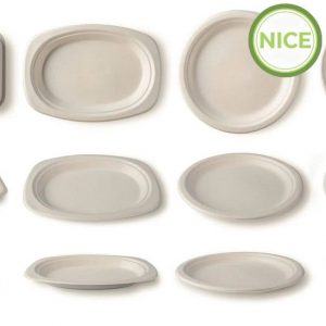 Alternative view of Dĩa bã mía