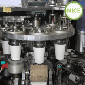 Quy trình sản xuất ly giấy – Từ tấm giấy trắng đến chiếc ly hoàn chỉnh