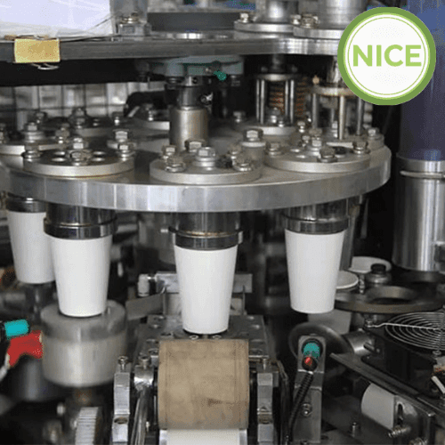 Quy trình sản xuất ly giấy – Từ tấm giấy trắng đến chiếc ly hoàn chỉnh