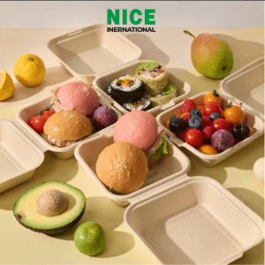 Hộp bã mía nắp gập