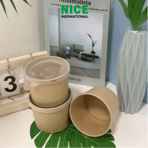 Nắp nhựa cho tô giấy, tô nhựa