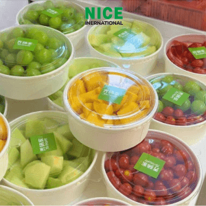 Alternative view of Tô giấy tròn lớn