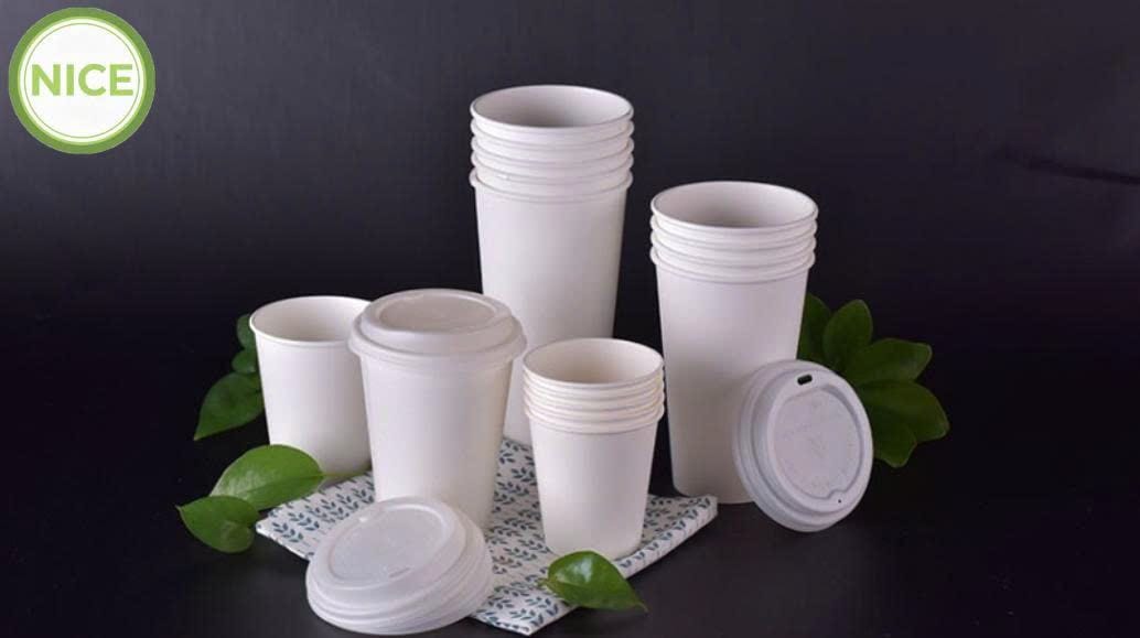 Ly PLA phân hủy sinh học 