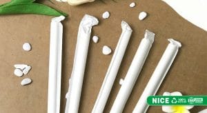 Ong hut giay NICE International