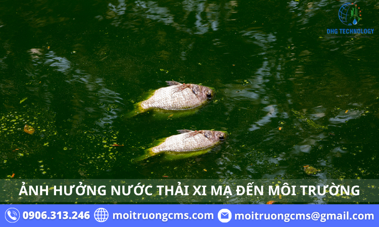anh-huong-nuoc-thai-xi-ma-den-moi-truong anh huong nuoc thai xi ma den moi truong