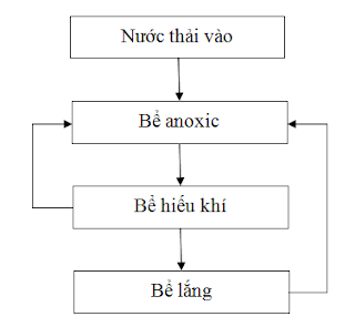 anoxic4