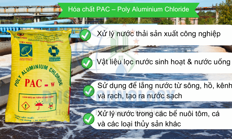 cong dung cua hoa chapc