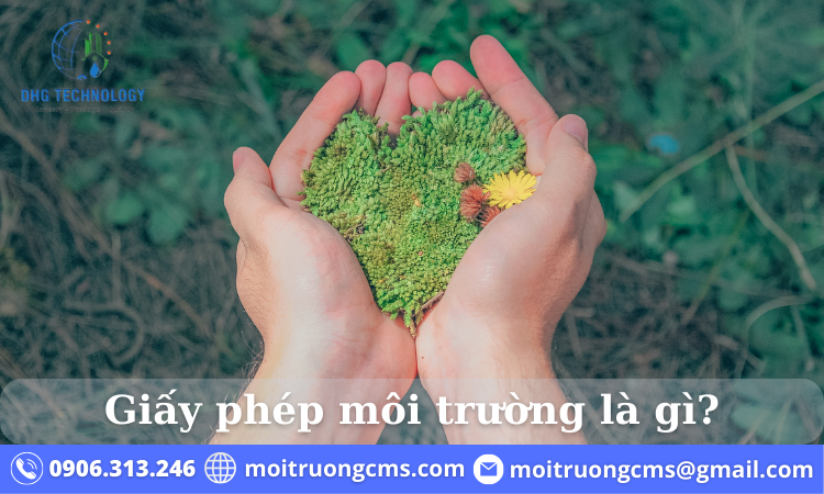 giay phep moi truong la gi