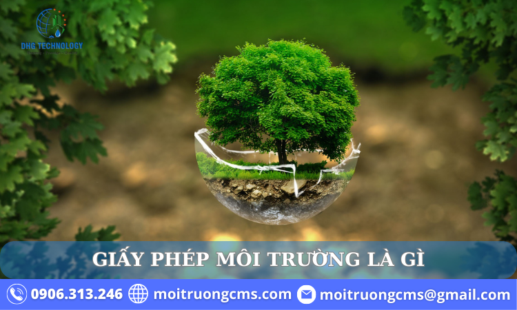 giay phep moi truong la gi 2