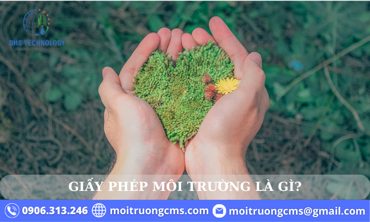 giay phep moi truong la gi 4