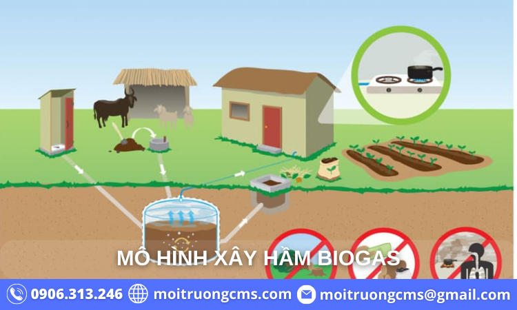 mo-hinh-xay-ham-biogas-chan-nuoi-heo mo hinh xay ham biogas chan nuoi heo