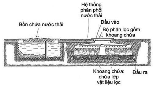 nguyen-ly-loc-sinh-hoc nguyen-ly-loc-sinh-hoc