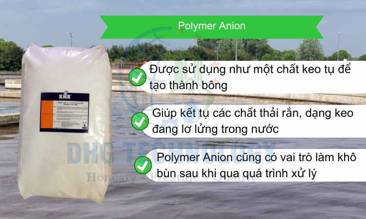 polymer ainion hoa chat xu ly nuoc thai