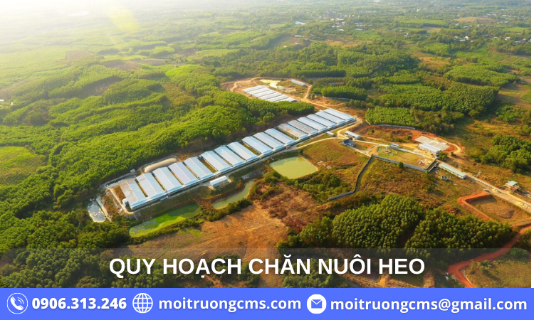 quy-hoach-cham-nuoi-heo quy hoach cham nuoi heo