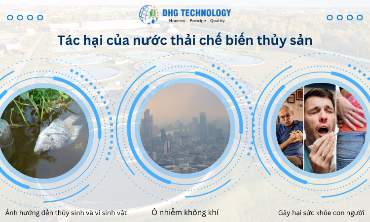tac-hai-cua-nuoc-thai-thuy-san-chua-duoc-xu-ly tac hai cua nuoc thai thuy san chua duoc xu ly