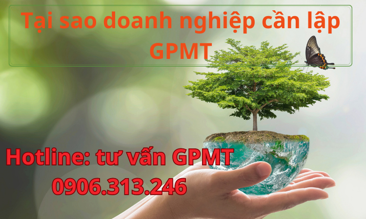 tai sao doanh nghiep can lap giay phep moi truong