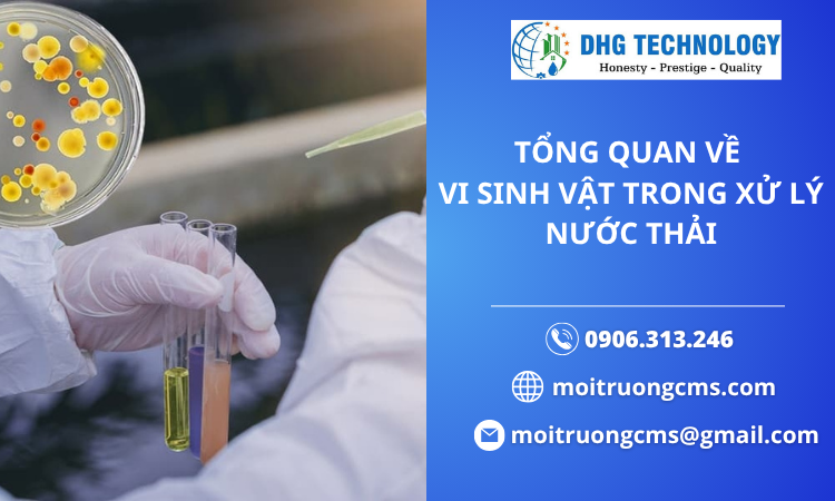 tong quan ve vi sinh vat xu ly nuoc thai