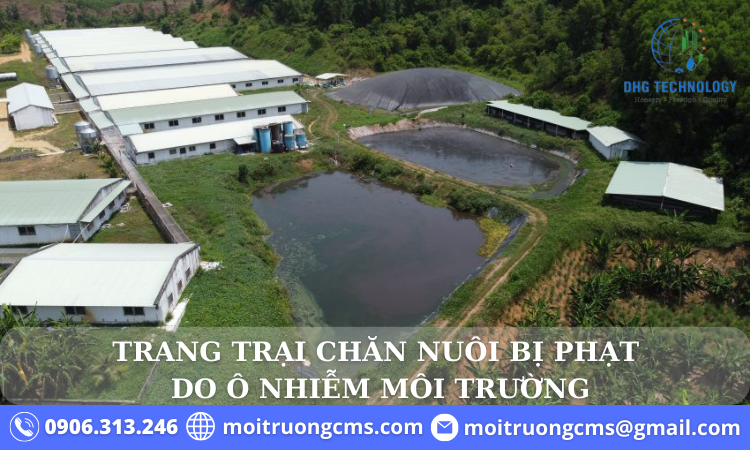 trang trai chan nuoi gay o nhiem moi truong