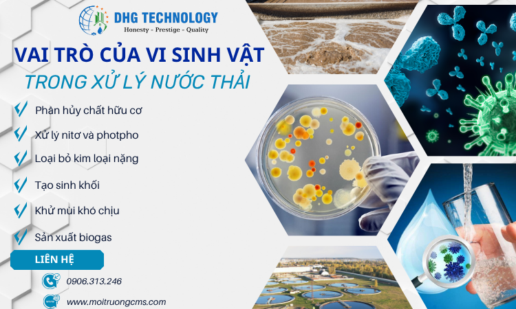 vai tro cua vi sinh vat xu ly nuoc thai