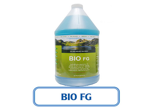 w_b-fg-01 w_B-FG-01