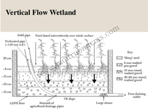 wetland-dong-chay-ngang wetland dong chay ngang