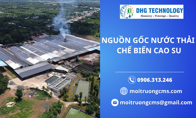 xlnt-che-bien-cao-su xlnt che bien cao su