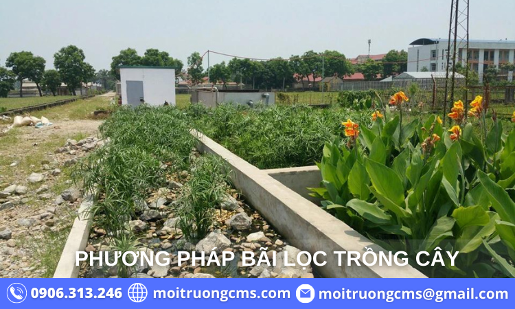 xu-ly-nuoc-thai-y-te-bang-phuong-phap-bai-loc-cay xu ly nuoc thai y te bang phuong phap bai loc cay