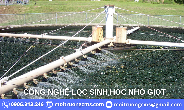 xu-ly-nuoc-thai-y-te-cong-nghe-sinh-hoc-nho-giot xu ly nuoc thai y te cong nghe sinh hoc nho giot